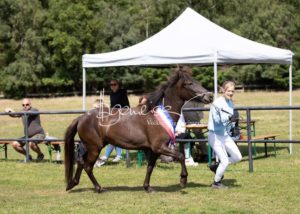 PSB Eliteschau Padenstedt 29