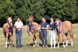 PSB Eliteschau Padenstedt 29