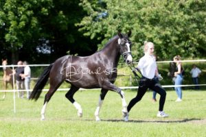 ZfdP Bundesschau Teilnehmer und Impressionen 16