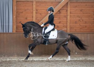 ZfdP Bundesschau Reitpferdeprfg. 24