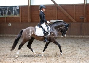 ZfdP Bundesschau Reitpferdeprfg. 25