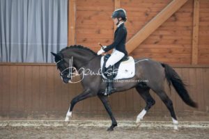 ZfdP Bundesschau Reitpferdeprfg. 26