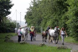 ZfdP Bundesschau Teilnehmer und Impressionen 26