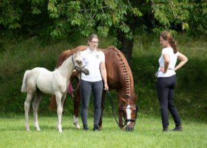 ZfdP Bundesschau Teilnehmer und Impressionen 19