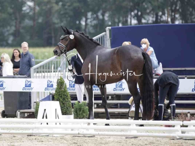 Mein Bundeschampionat 2021 8