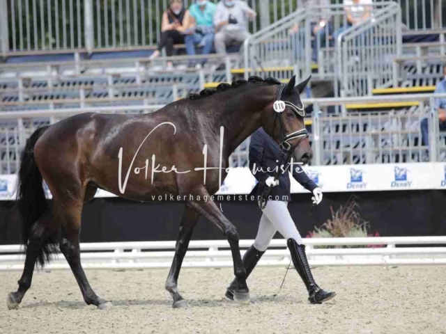 Mein Bundeschampionat 2021 9