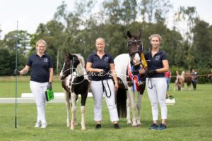 PSB Fohlenchampionat Sieger 8