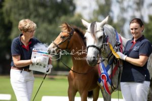 PSB Fohlenchampionat Sieger 17