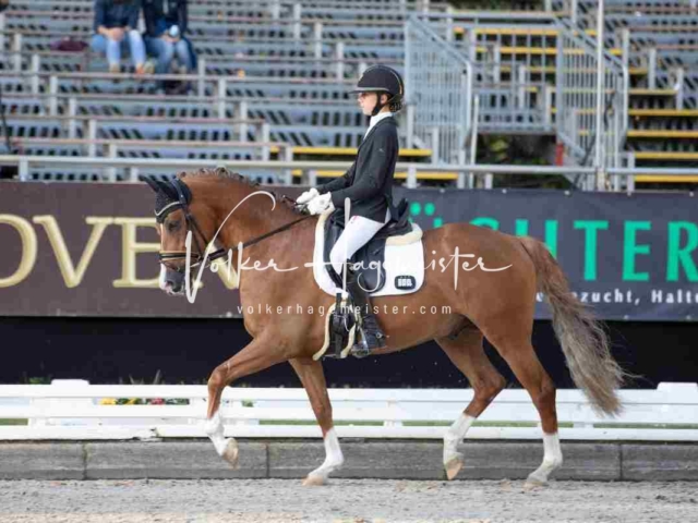 Mein Bundeschampionat 2021 14