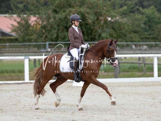 Mein Bundeschampionat 2021 19