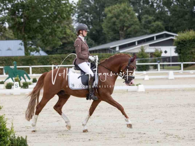 Mein Bundeschampionat 2021 20