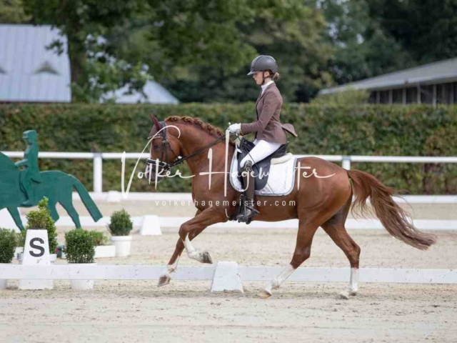 Mein Bundeschampionat 2021 21