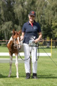 PSB Fohlenchampionat Sieger 8