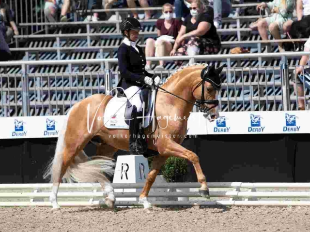 Mein Bundeschampionat 2021 25