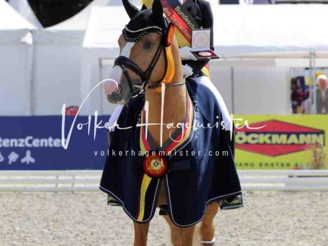 Mein Bundeschampionat 2021 28