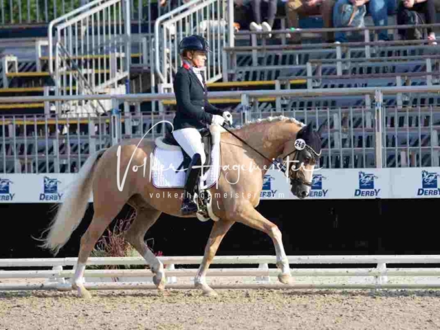 Mein Bundeschampionat 2021 4