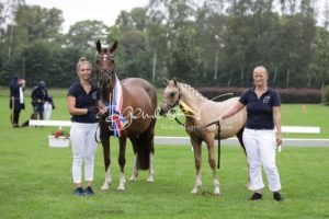 PSB Fohlenchampionat Sieger 14