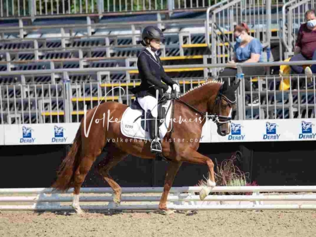 Mein Bundeschampionat 2021 7