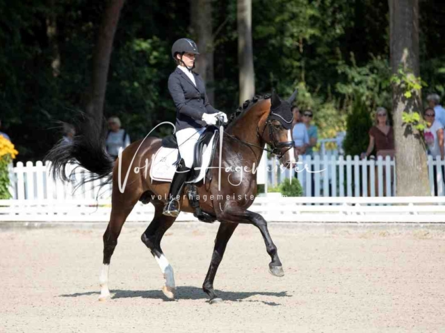 Mein Bundeschampionat 2021 21