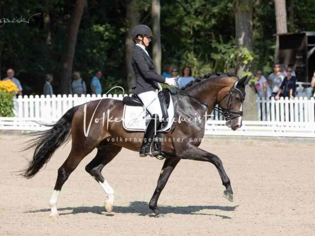 Mein Bundeschampionat 2021 23
