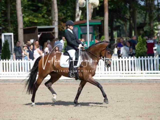 Mein Bundeschampionat 2021 3