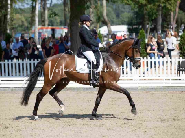 Mein Bundeschampionat 2021 4