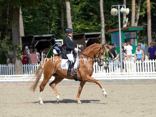 Mein Bundeschampionat 2021 5