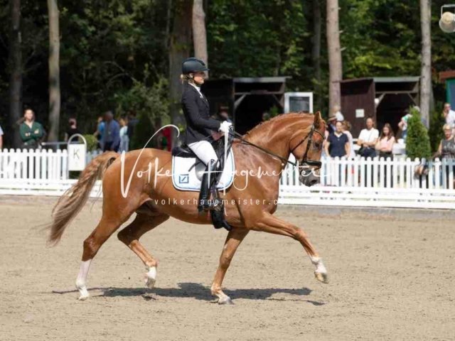 Mein Bundeschampionat 2021 7