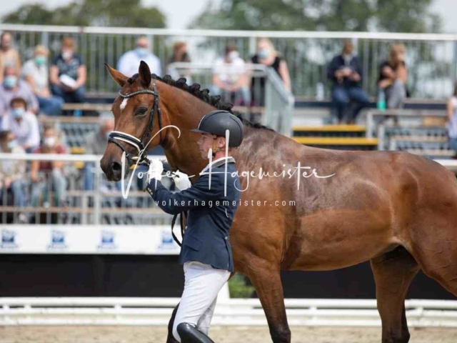 Mein Bundeschampionat 2021 13