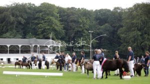 PSB Fohlenchampionat Sieger 24