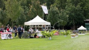 PSB Fohlenchampionat Sieger 26