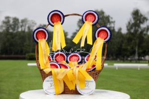 PSB Fohlenchampionat Sieger 27