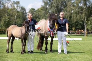 PSB Fohlenchampionat Sieger 9