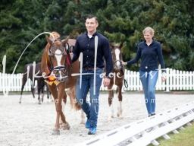 Deutsches Reitpony Fohlenchampionat 29