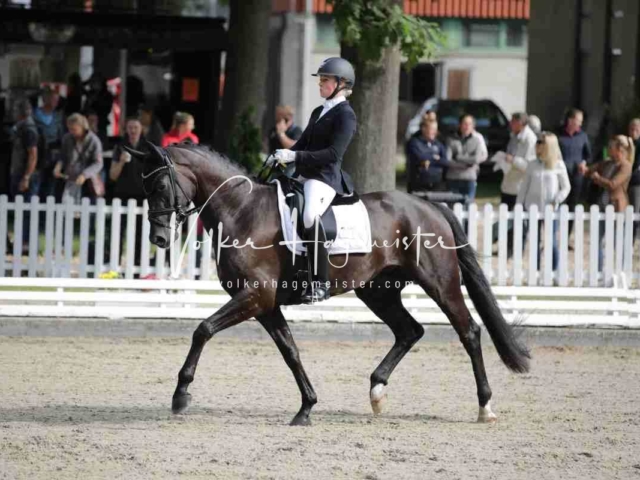 Mein Bundeschampionat 2021 9