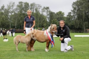 PSB Fohlenchampionat Sieger 10