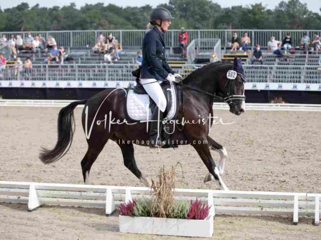 Mein Bundeschampionat 2021 1