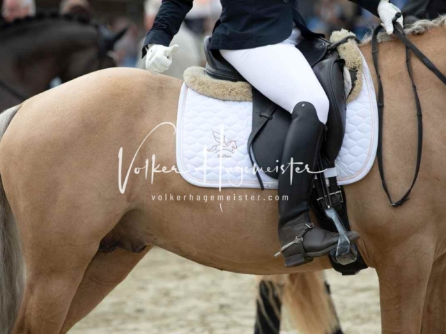 Mein Bundeschampionat 2021 27