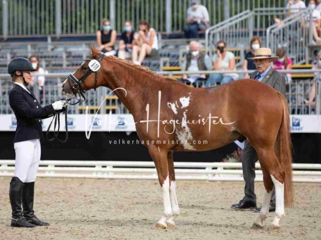 Mein Bundeschampionat 2021 15