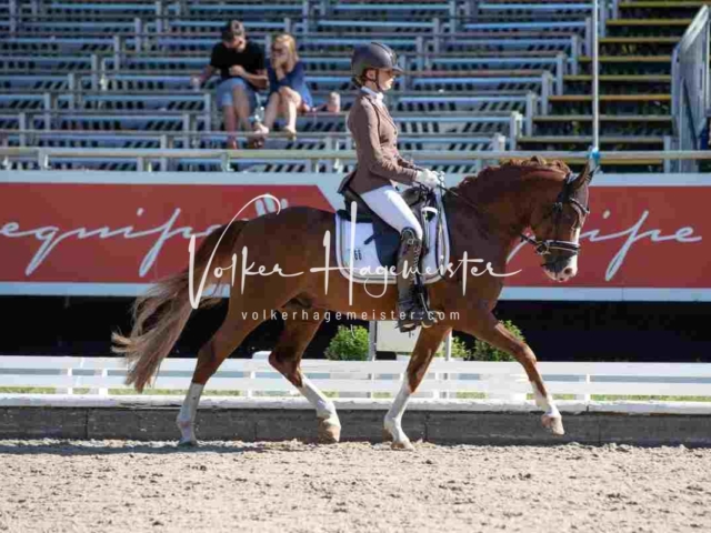 Mein Bundeschampionat 2021 16