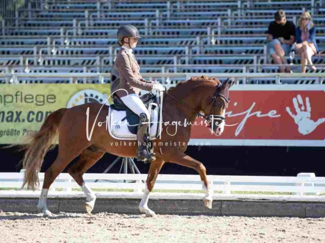 Mein Bundeschampionat 2021 18