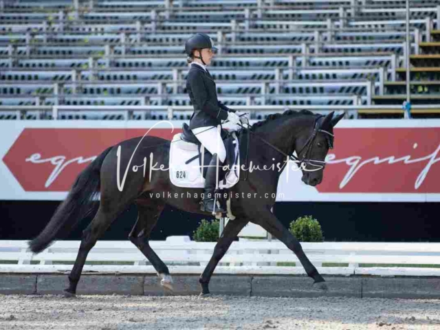 Mein Bundeschampionat 2021 26