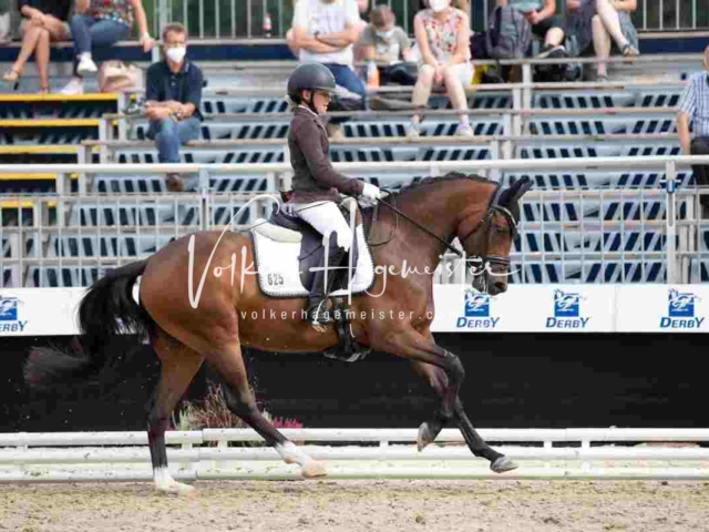 Mein Bundeschampionat 2021 3