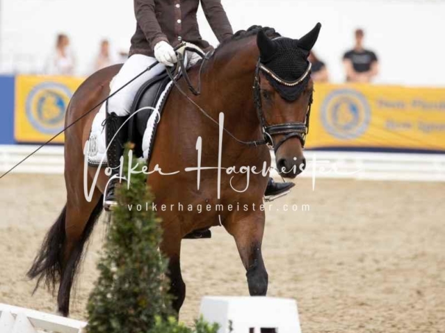 Mein Bundeschampionat 2021 4