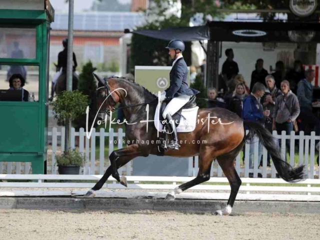 Mein Bundeschampionat 2021 6
