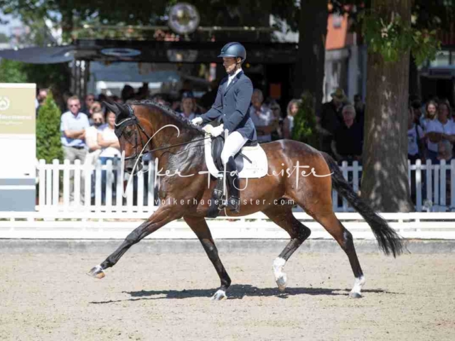Mein Bundeschampionat 2021 8