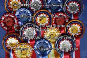 Regionalschau S-H/HH e.V. IG Welsh 5