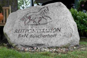 Regionalschau S-H/HH e.V. IG Welsh 20