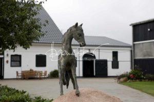 Regionalschau S-H/HH e.V. IG Welsh 21