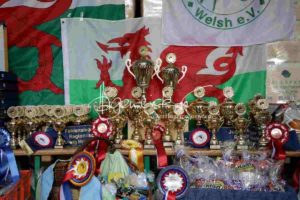 Regionalschau S-H/HH e.V. IG Welsh 23